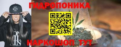 индика Новокубанск