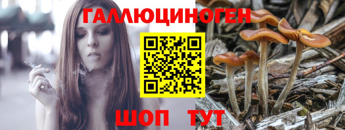 Чернушка  Галлюциногенные грибы Magic Shrooms  Вход с VPN 