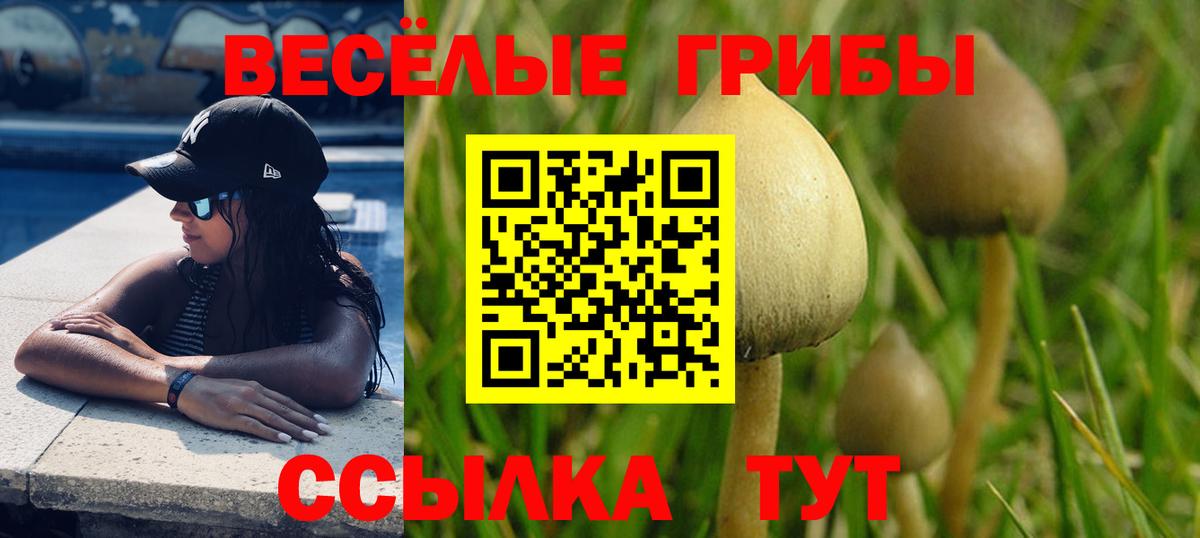 Псилоцибиновые грибы Magic Shrooms Чернушка